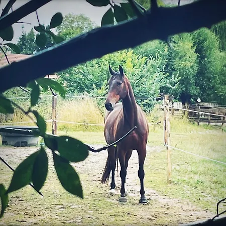 Nocleg ze śniadaniem D'hotes De La Maison De Chaalis Fontaine-Chaalis